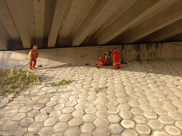 橋下空間清理_副本.jpg 橋下空間清理_副本.jpg